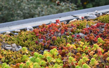 the cost of Upton St Leonards green roof installation
