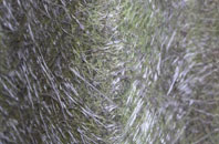 Upton St Leonards fibreglass roof work